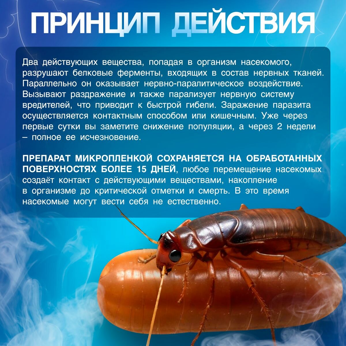 Агран профессиональное средство от тараканов, клопов и других насекомых, 100 мл — фото 1