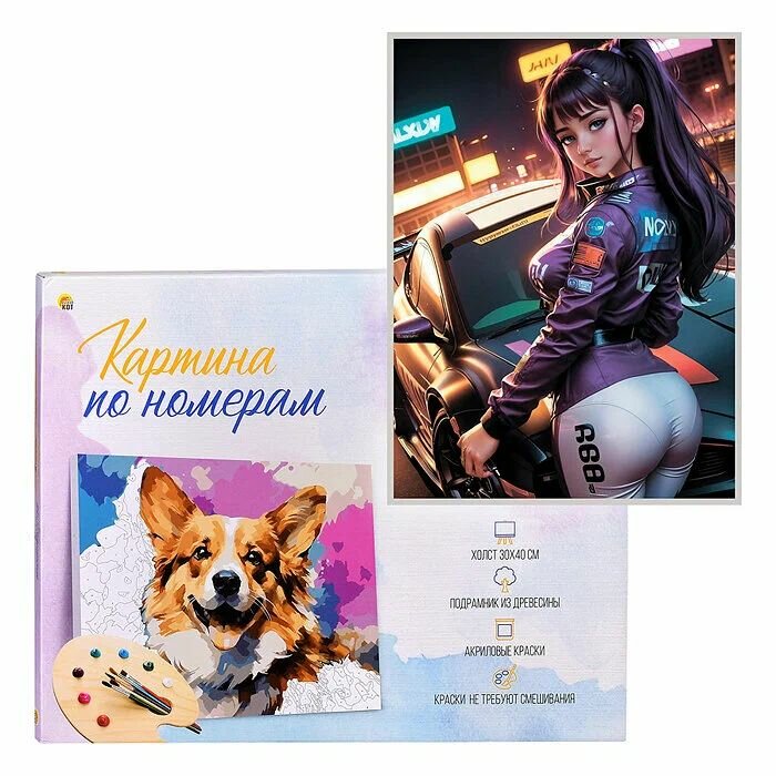 Картина по номерам на холсте с подрамником 30х40см гонки В ночи. Палитра с красками 30 цветов