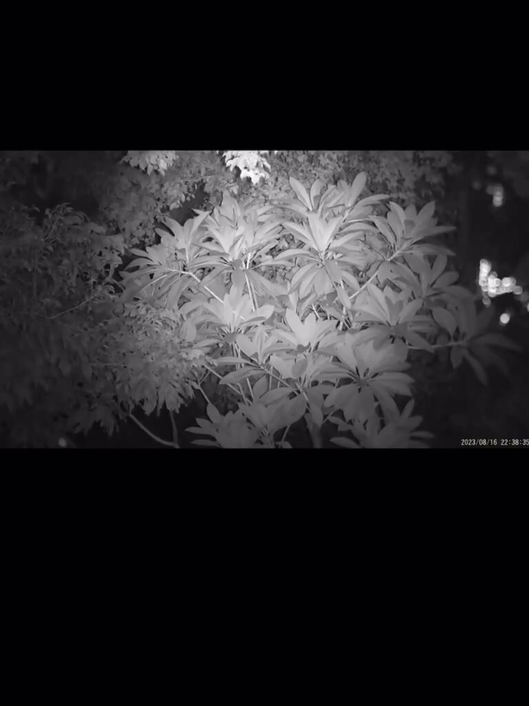 Тепловизор цифровой с записью видео монокуляр Night Vision 1080p 2K Camera — фото 1