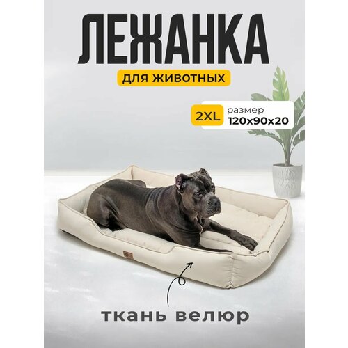 Лежанка для Кошек и Собак Большая с Бортиками и Подушкой