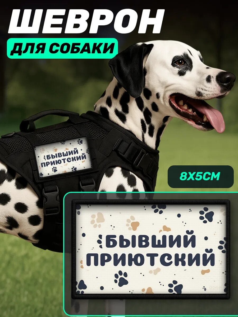 Шеврон на шлейку для собак Бывший приютский