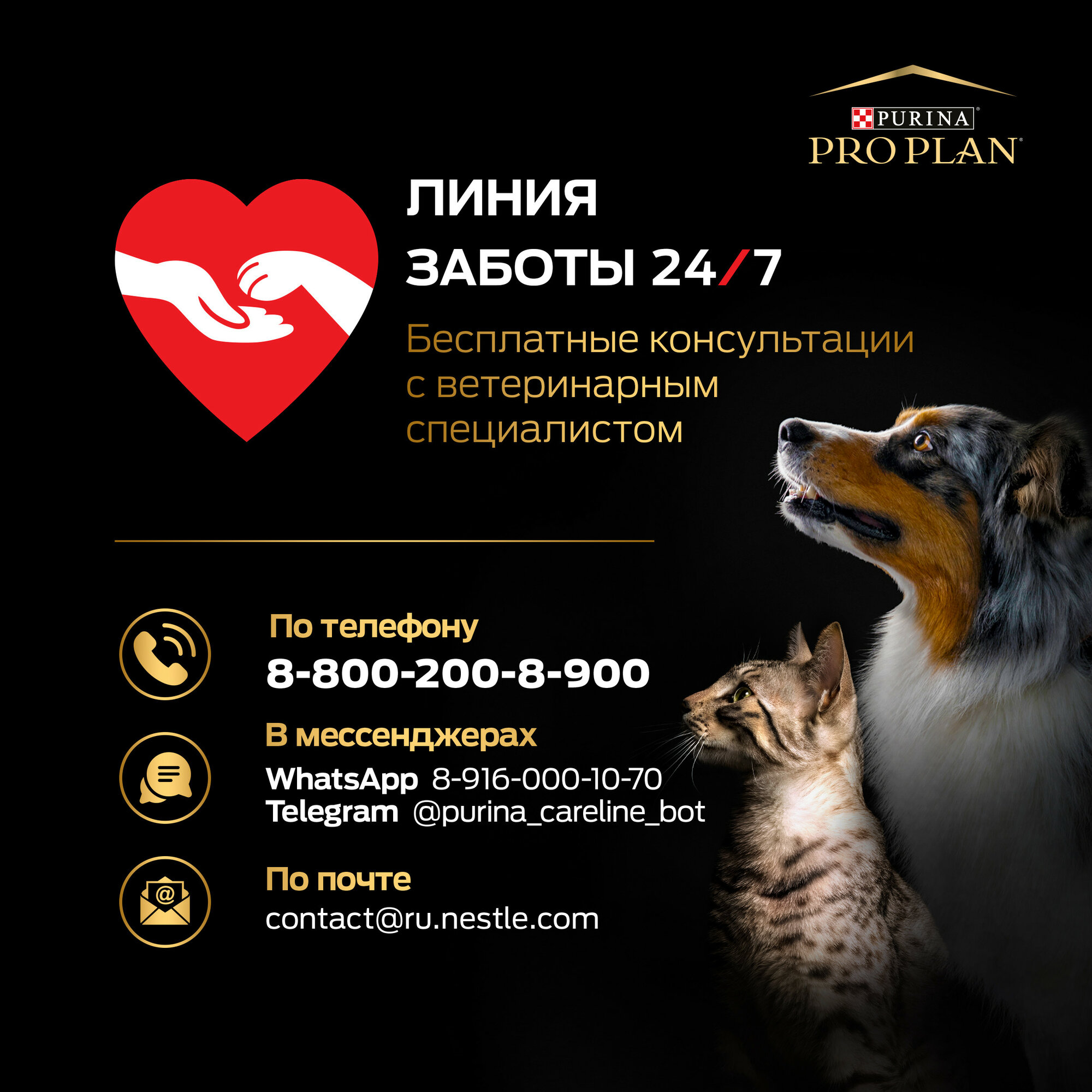 Сухой корм Purina ProPlan для взрослых собак мелких и карликовых пород с чувствительной кожей, лосось, 2,5кг+500гр - фото №3