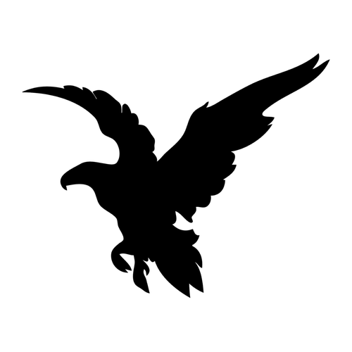 Наклейки-стикеры: силуэты хищных птиц (60 x 42) см - V23 Комплект 50 штук