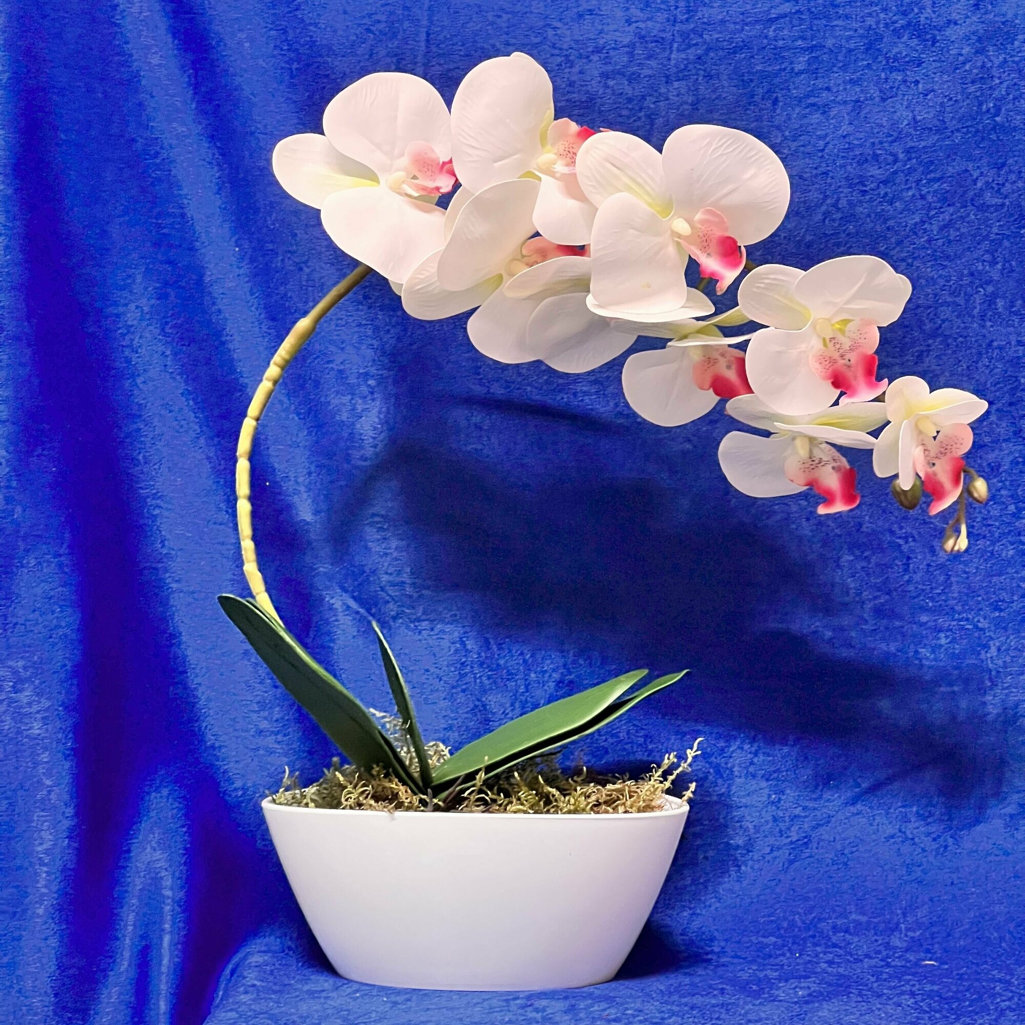 Искусственные цветы Орхидея белая с розовой сердцевинкой в пластиковом ящике