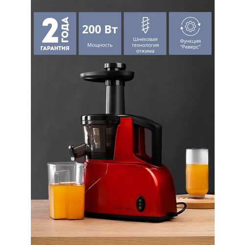 Соковыжималка GALAXY GL 0800 шнековая 989400₽