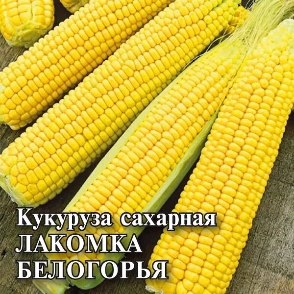 Гавриш Кукуруза Лакомка Белогорья 100г сахарная ранняя