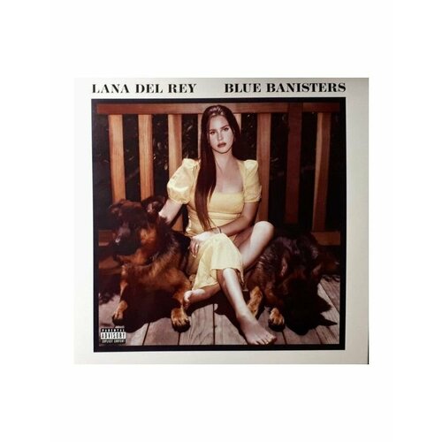 виниловая пластинка lana del rey – blue banisters 2lp 0602438590148, Виниловая пластинка Del Rey, Lana, Blue Banisters