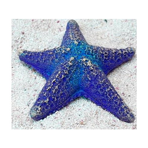 Grotaqua Цветной коралл синий Звезда средняя, 9*9*2 см