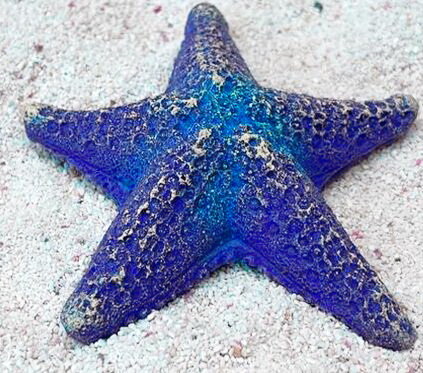 Grotaqua Цветной коралл синий Звезда средняя, 9*9*2 см