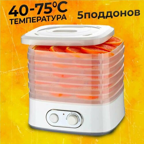 Сушилка для овощей и фруктов TAKARA DF-11 Дегидратор для сушки Электросушилка для пастилы мяса и грибов 4600₽
