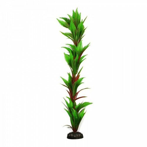 Пластиковое растение Barbus Папоротник 50 см. пластиковое растение barbus папоротник 30 см
