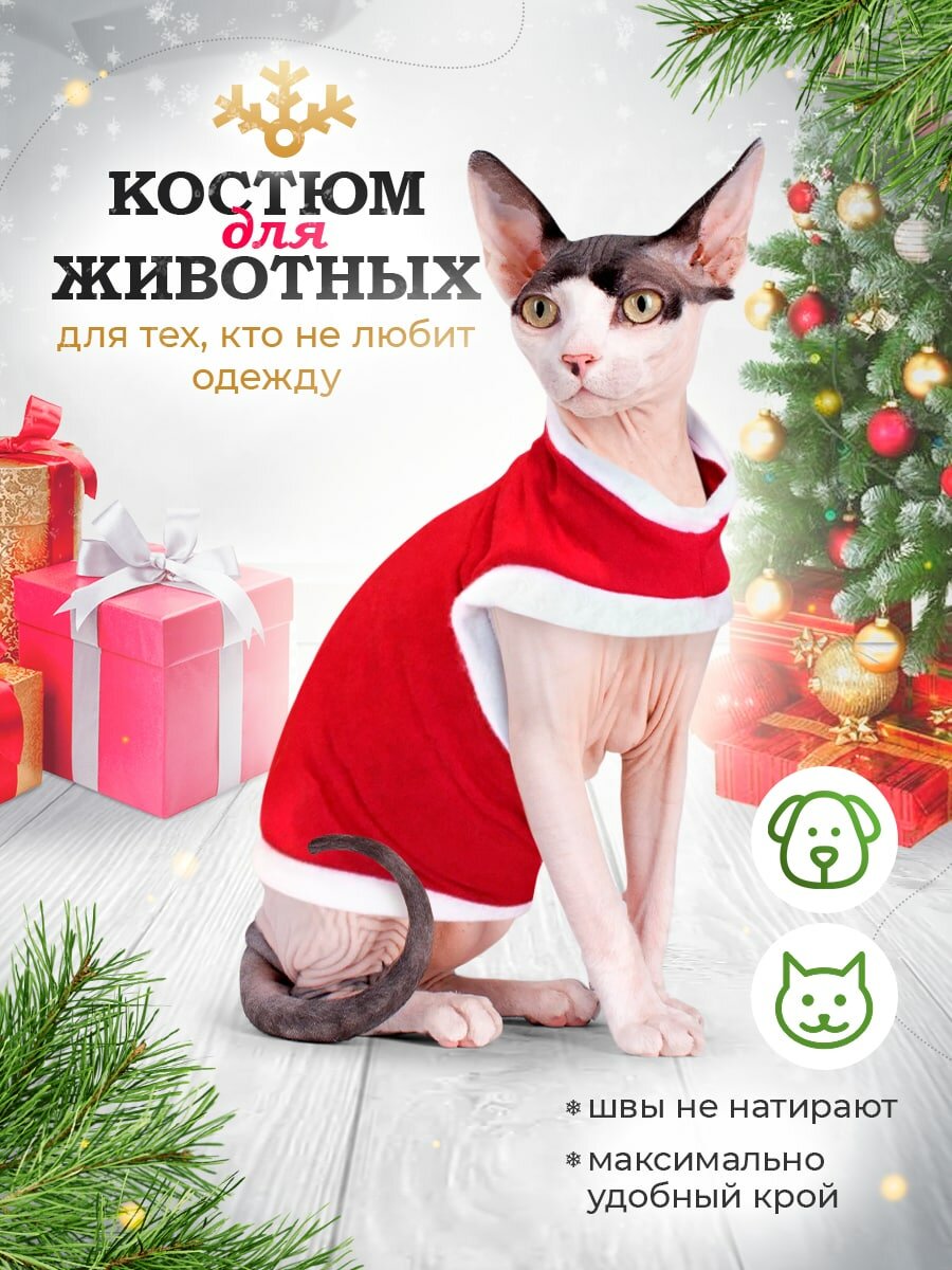 Одежда для животных кошек сфинкс и собак мелких пород, размер XL