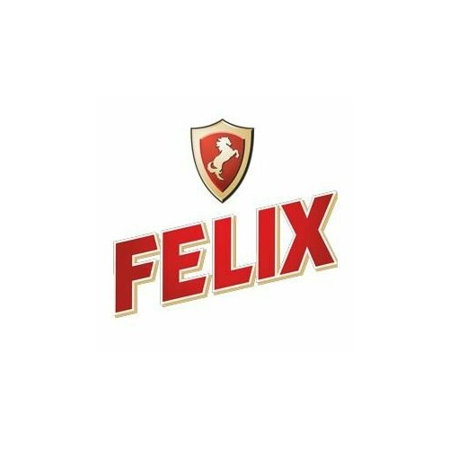 FELIX 430700016 Жидкость ГУРа FELIX минеральная светло-желтая 1 Литр 578₽