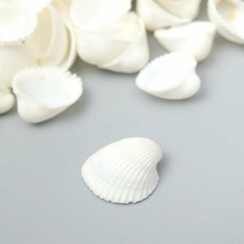 Декоративные ракушки 