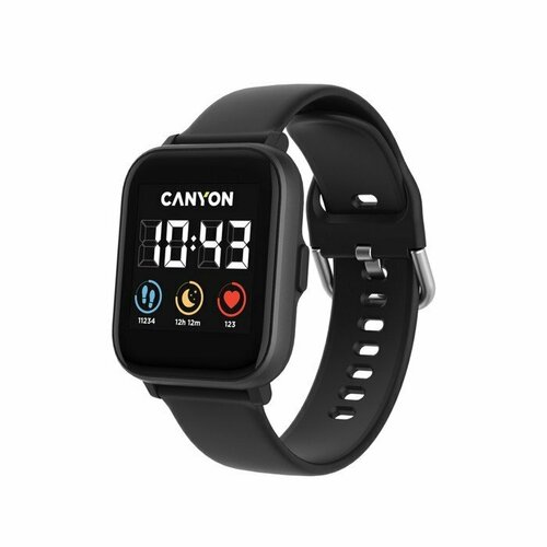 Смарт-часы Canyon SW-74 13 LCD сенсор уведомления спорт до 20 дней IP67 черные 653500₽