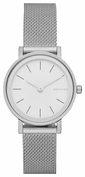 Наручные часы SKAGEN SKW2441