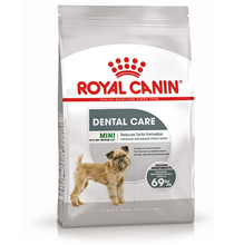 Корма Royal Canin Mini Dental Care / Сухой корм Роял Канин Мини Дентал Кэа для собак Мелких пород весом до 10 кг Уменьшает образование зубного камня