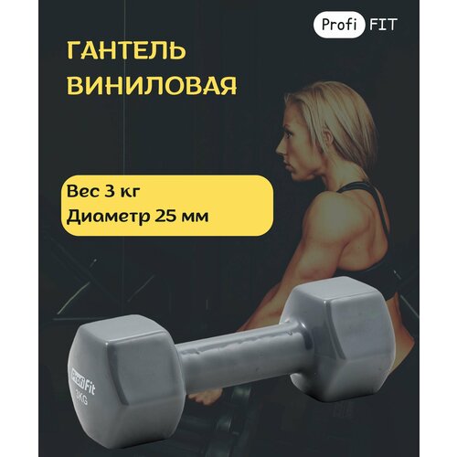 Гантель в виниловой оболочке, шестигранник 3 кг, серая PROFI-FIT гантель разборная profi fit в кейсе серебристый