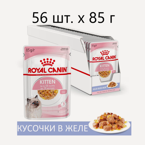 Изображение товара Влажный корм для котят Royal Canin Kitten, 56 шт. х 85 г (кусочки в желе)