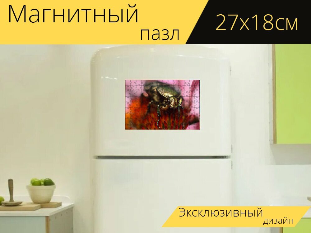Магнитный пазл "Жук, майский, макросъёмка" на холодильник 27 x 18 см.