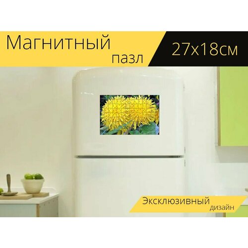 Магнитный пазл Одуванчик, природа, цветок на холодильник 27 x 18 см. магнитный пазл одуванчик природа остроконечный цветок на холодильник 27 x 18 см