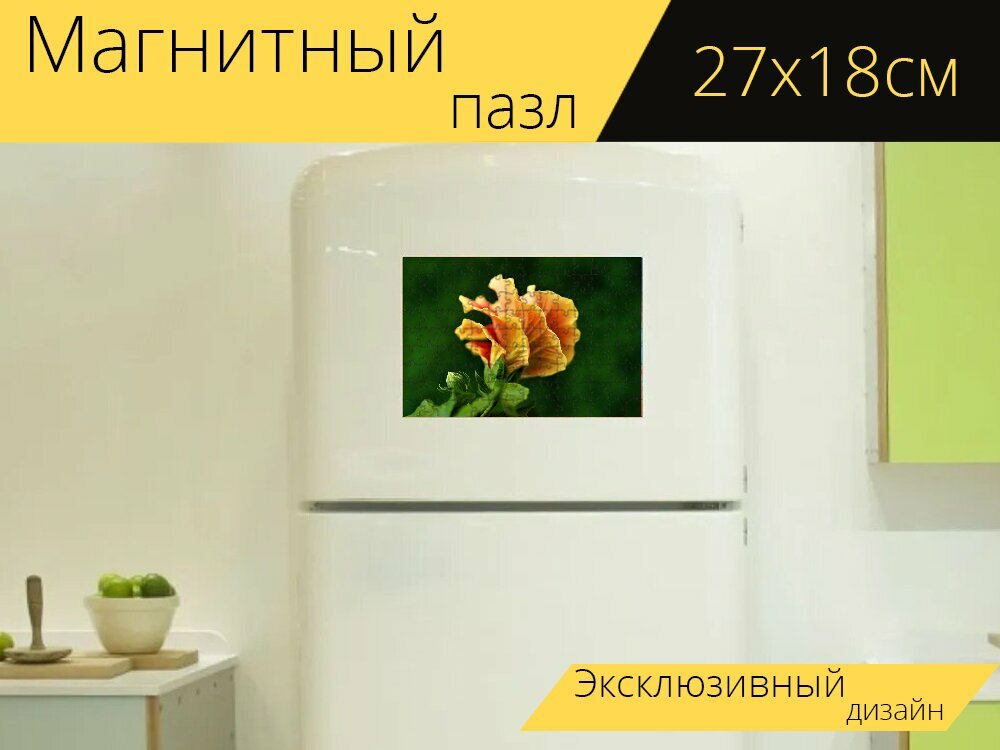 Магнитный пазл "Гибискус, цветок, оранжевый цветок" на холодильник 27 x 18 см.