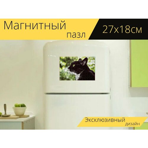 Магнитный пазл Похмелье, кот, чернобелый на холодильник 27 x 18 см. магнитный пазл кот чернобелый похмелье на холодильник 27 x 18 см