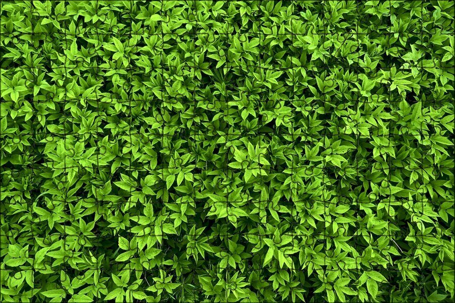Магнитный пазл "Зеленый, трава, сныть обыкновенная" на холодильник 27 x 18 см.