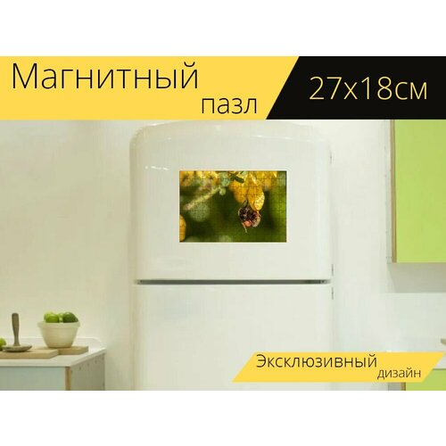 Магнитный пазл Шмель, садовый шмель, bombus hortorum на холодильник 27 x 18 см. магнитный пазл шмель завод нектар на холодильник 27 x 18 см