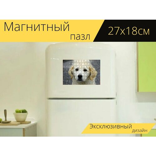 Магнитный пазл Собака, маремма, пастушья собака на холодильник 27 x 18 см.