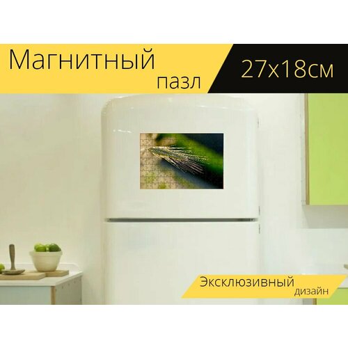 Магнитный пазл Рожь, ухо, зерно на холодильник 27 x 18 см. магнитный пазл пшеница рожь ломом на холодильник 27 x 18 см