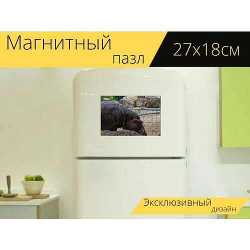 Магнитный пазл Бегемот, бегемот амфибий, млекопитающее на холодильник 27 x 18 см. магнитный пазл бегемот игра дикий на холодильник 27 x 18 см