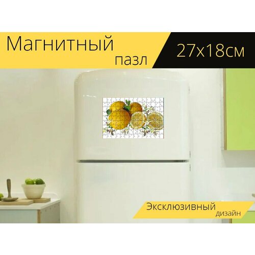 Магнитный пазл Лимоны, цитрусовые, фрукты на холодильник 27 x 18 см. магнитный пазл лимоны деревья фрукты на холодильник 27 x 18 см