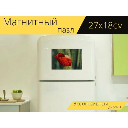 Магнитный пазл Кукурузный мак, цветок мака, мак на холодильник 27 x 18 см.