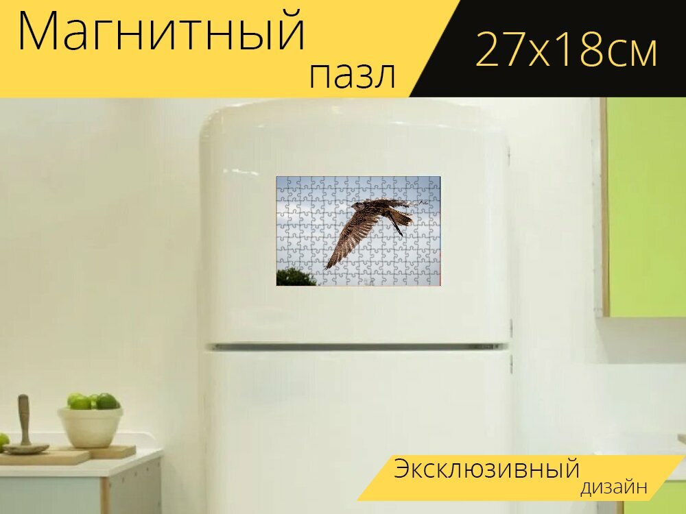 Магнитный пазл "Ящер, рейс, сокол" на холодильник 27 x 18 см.