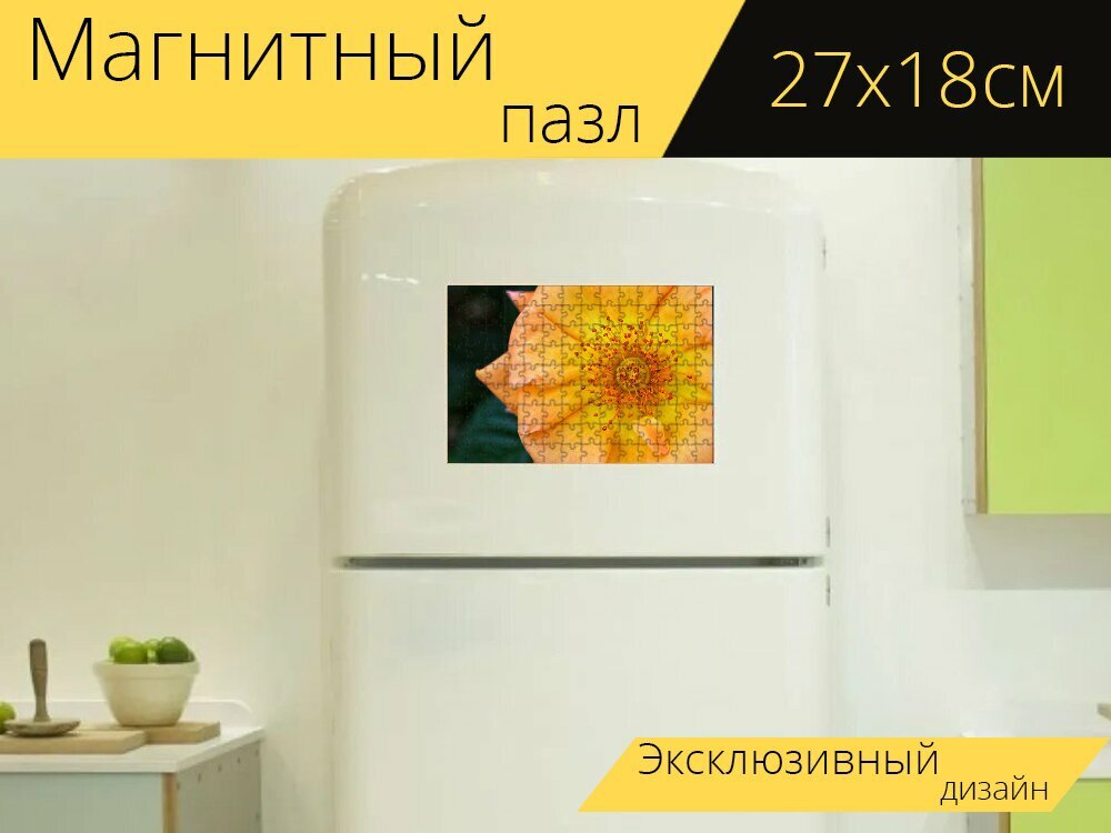 Магнитный пазл "Роза, макрос, цветок" на холодильник 27 x 18 см.