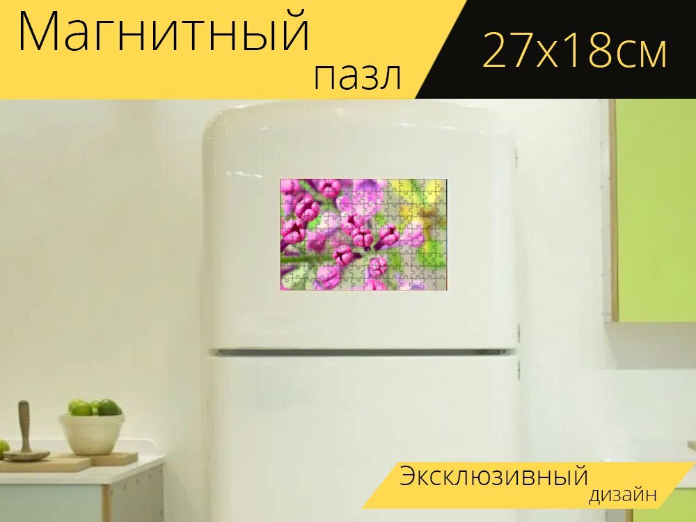 Магнитный пазл "Цветок, природа, макрос" на холодильник 27 x 18 см.