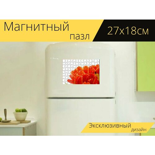 Магнитный пазл Цветок, тюльпан, желтый на холодильник 27 x 18 см.