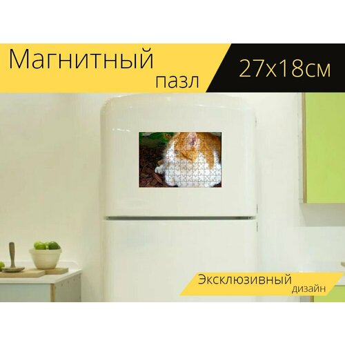 Магнитный пазл Кот, похмелье, красное похмелье на холодильник 27 x 18 см. магнитный пазл кот похмелье красное похмелье на холодильник 27 x 18 см