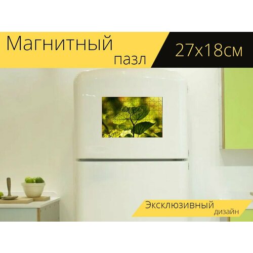 Магнитный пазл Лист, вена, шаблон на холодильник 27 x 18 см. магнитный пазл осенний лист вен шаблон на холодильник 27 x 18 см