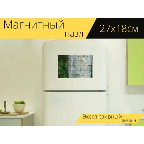 Магнитный пазл Берёза, ствол, ствол березы на холодильник 27 x 18 см. магнитный пазл тапир громоздкой ствол на холодильник 27 x 18 см