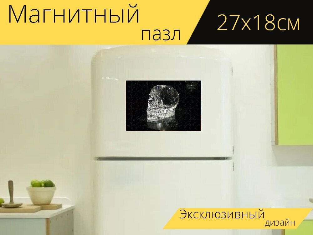 Магнитный пазл "Хрустальный череп, выставка, череп" на холодильник 27 x 18 см.
