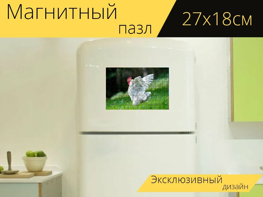 Магнитный пазл "Петух, курица, крылья" на холодильник 27 x 18 см.