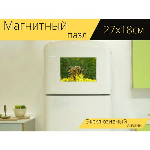 Магнитный пазл "Пчела, ошибка, насекомые" на холодильник 27 x 18 см.