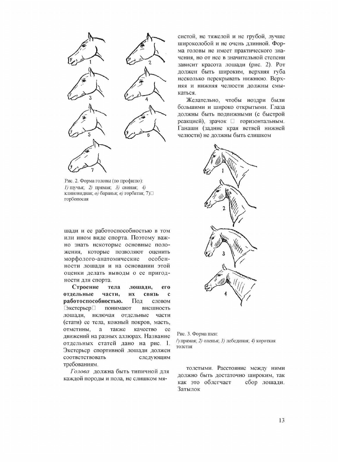 Конный спорт. Пособие для тренеров, преподавателей, коневодов и спортсменов - фото №9