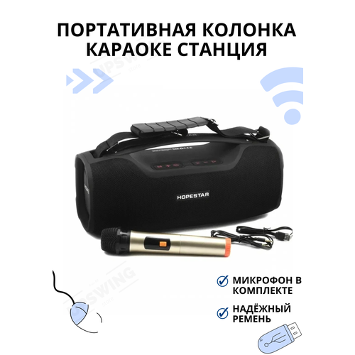 Портативная колонка с микрофоном 545700₽