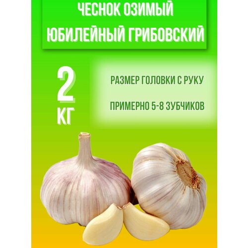 Чеснок Озимый Юбилейный Грибовский 2кг чеснок озимый сорт комсомолец 0 5кг уп