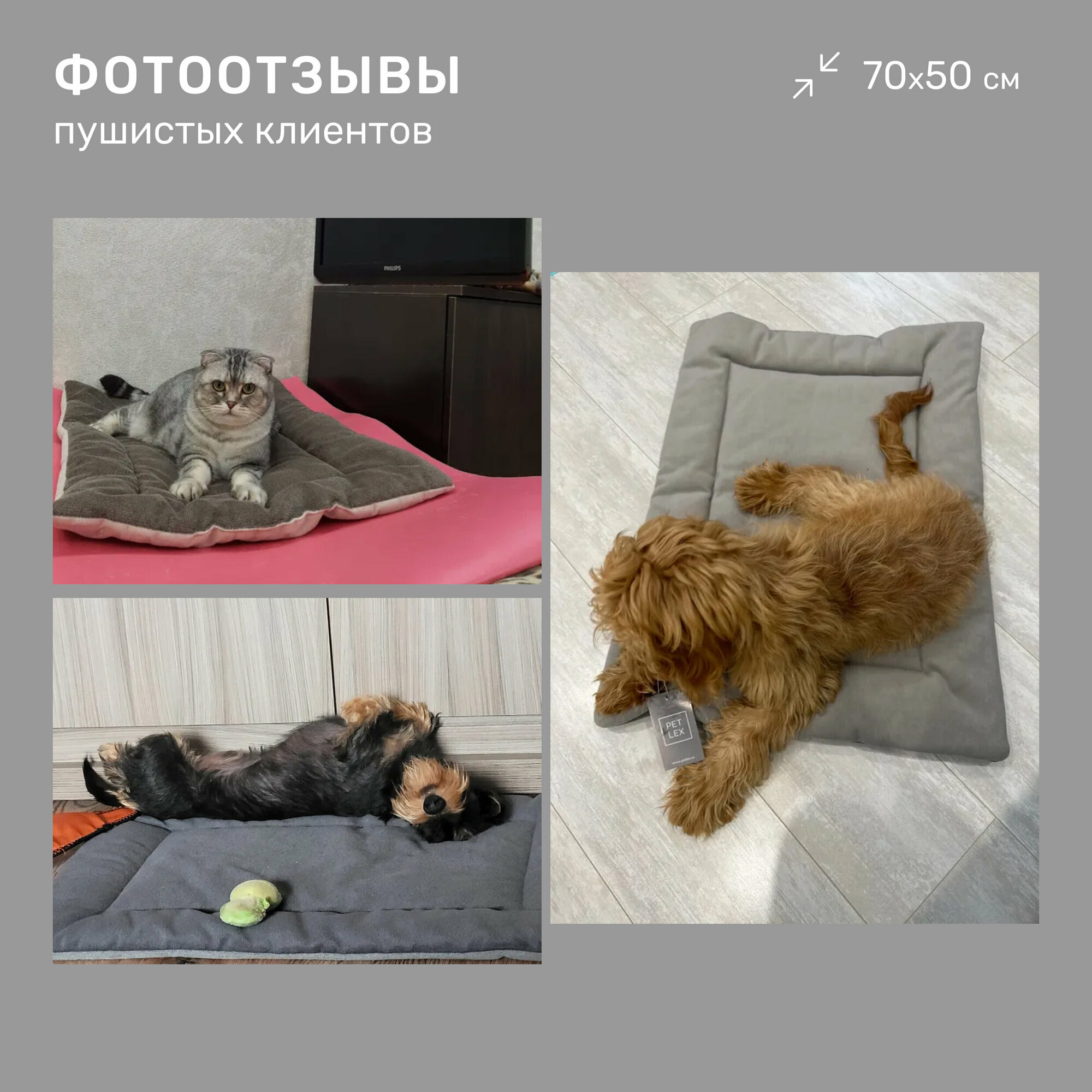 Лежак-подстилка антивандальная для кошек и собак PET LEX размер 70х50х3см, бежевый велюр, периотек