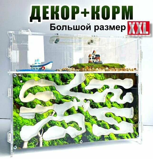 Муравьиная ферма макси "Горный Мох" +Декор и Корм в подарок!