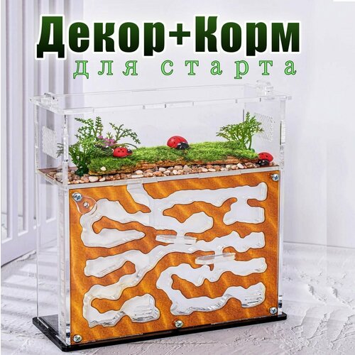 Муравьиная ферма ВСЕ включено 